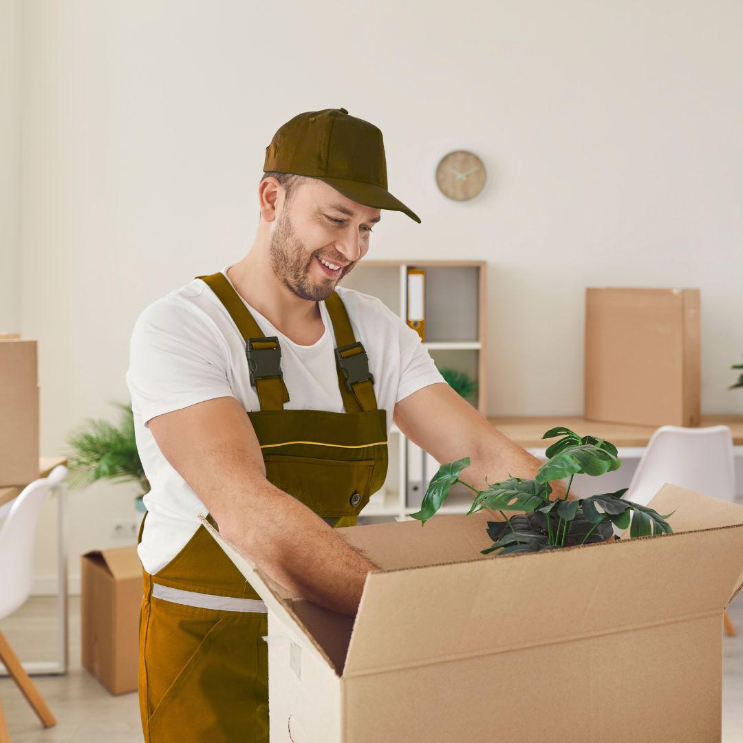 Umzug 1130 Wien Hietzing – Möbeltransport professionell